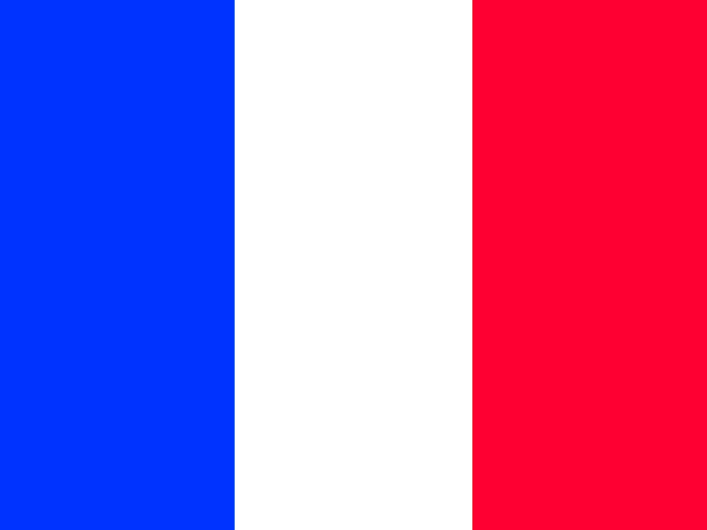 flagfr.jpg (20864 bytes)